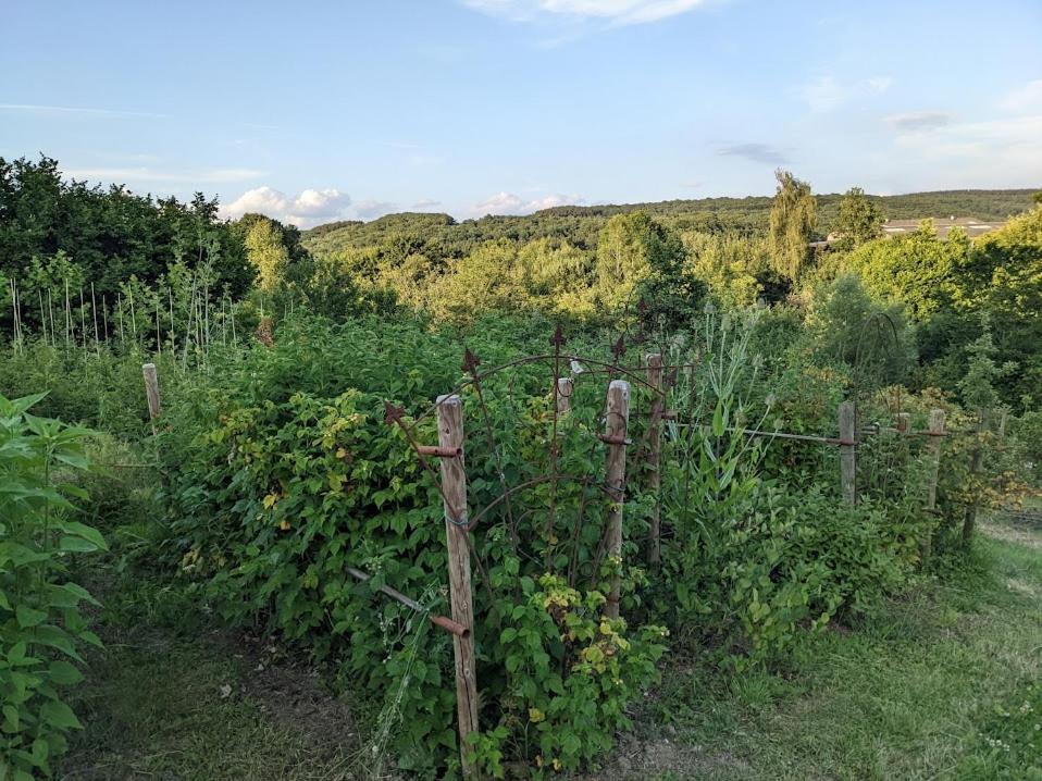 La Jardiniere Bed & Breakfast Érezée Dış mekan fotoğraf